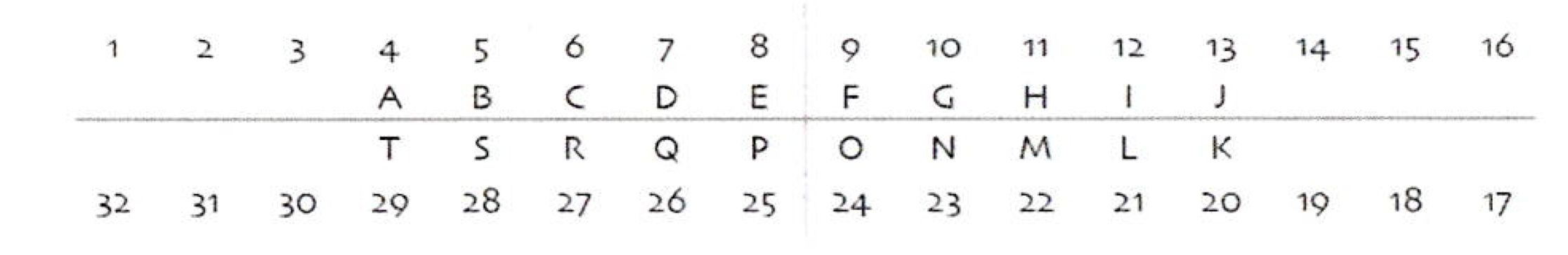 Dental Chart